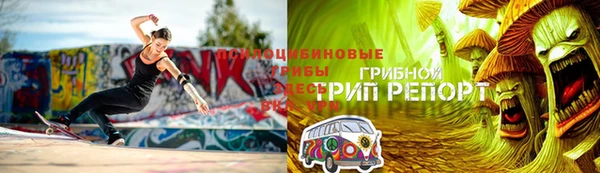 стаф Корсаков
