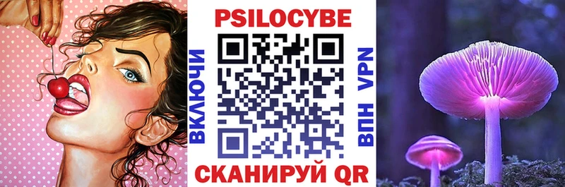 гидра рабочий сайт  Юрьевец  Псилоцибиновые грибы Psilocybe 