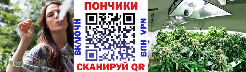 цена   Юрьевец  Бошки марихуана SATIVA & INDICA 
